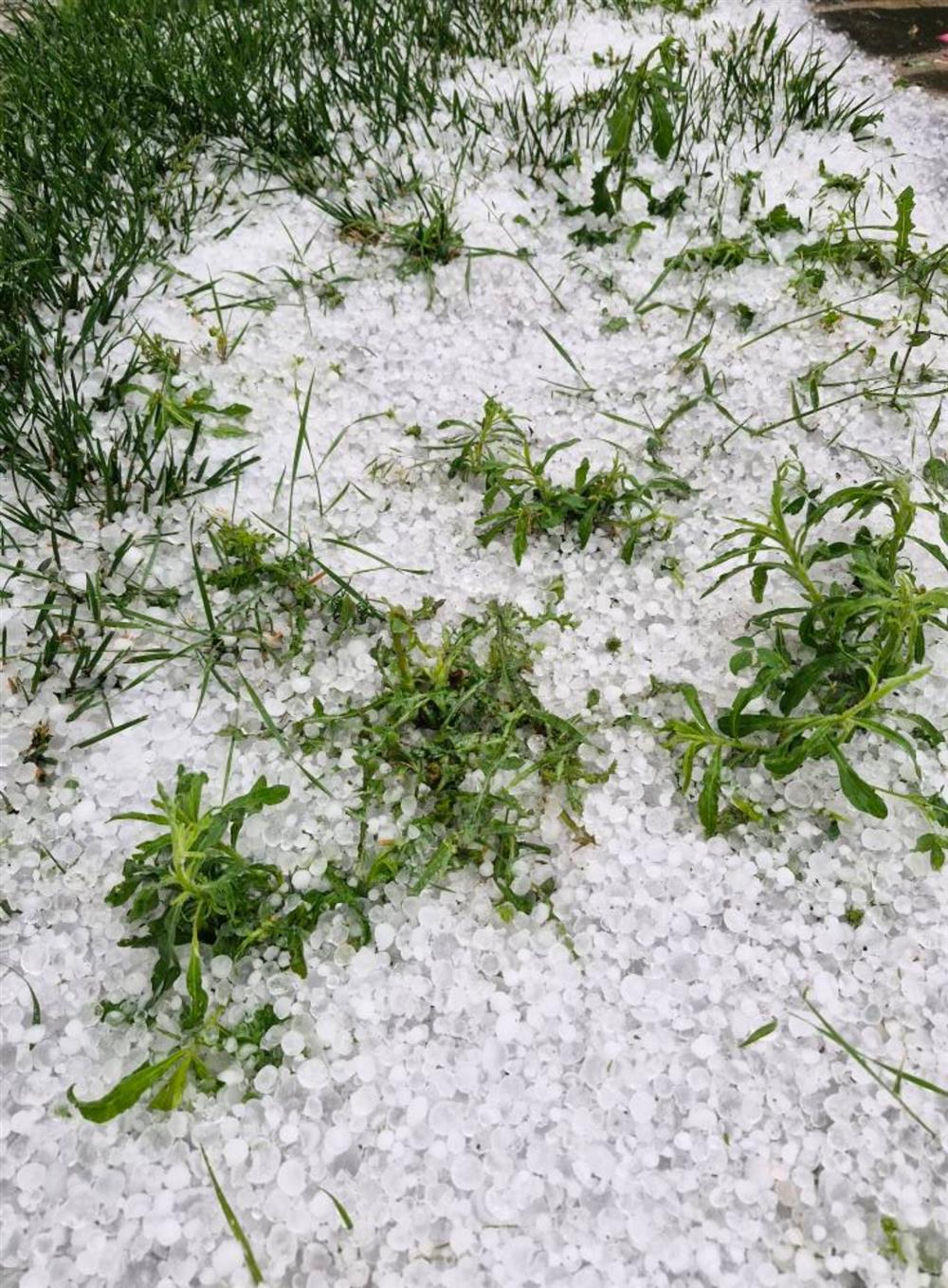 Κοζάνη - Χαλάζι Κοζάνη - Χαλάζι