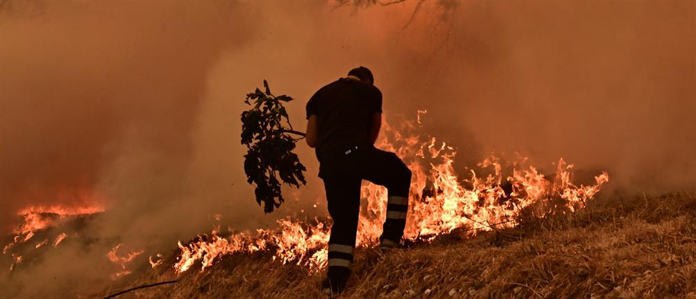 Φωτιά στη Δροσοπηγή
