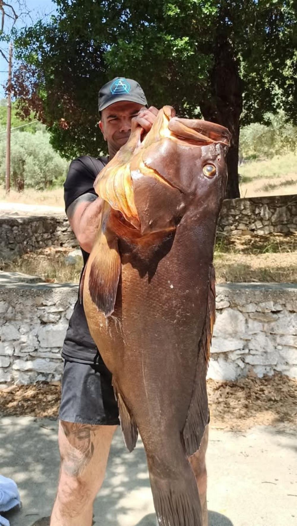 Βόλος - Ψαροντουφεκάς - Ροφός