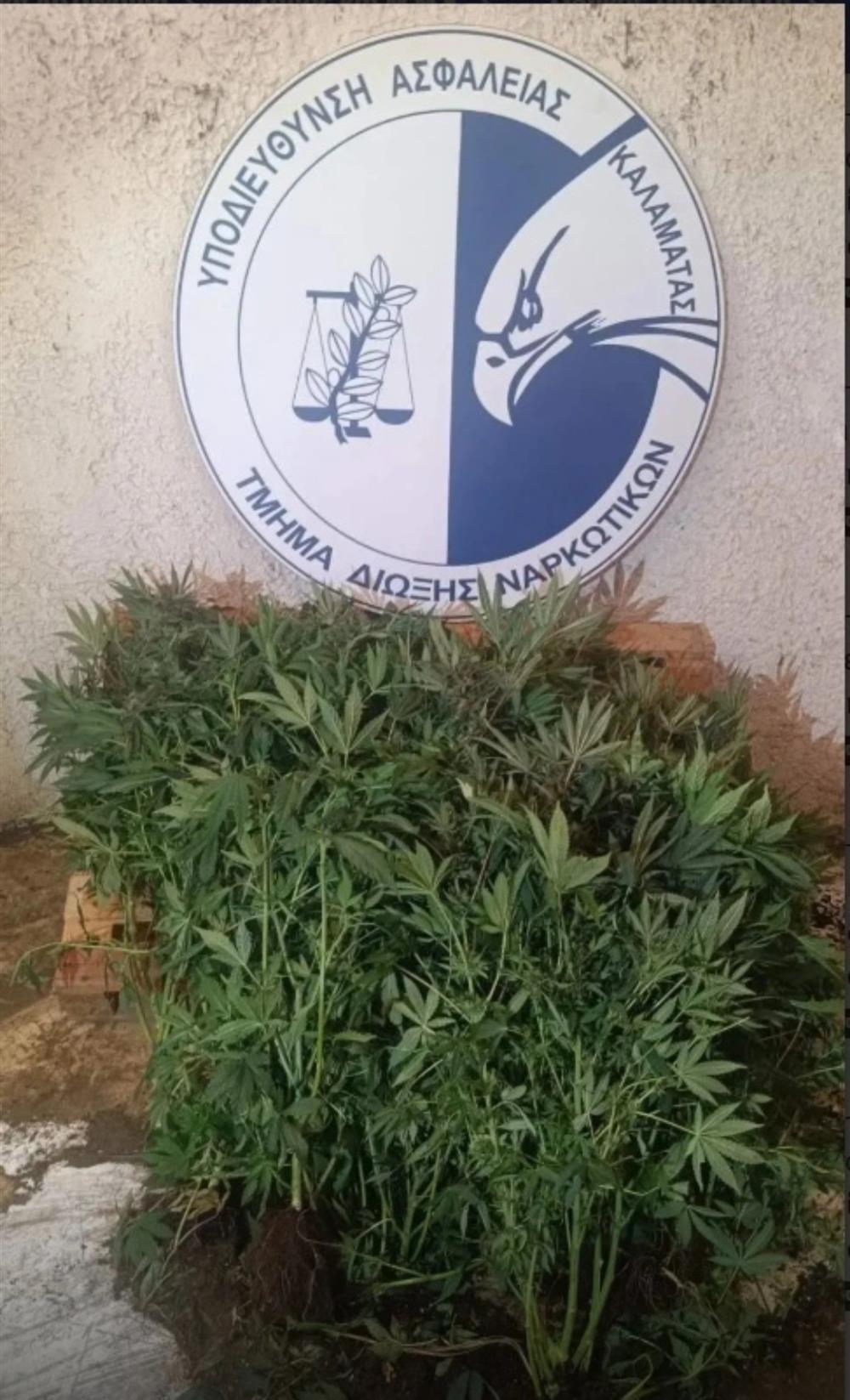 καλαματα - ναρικωτικα καλαματα - ναρικωτικα