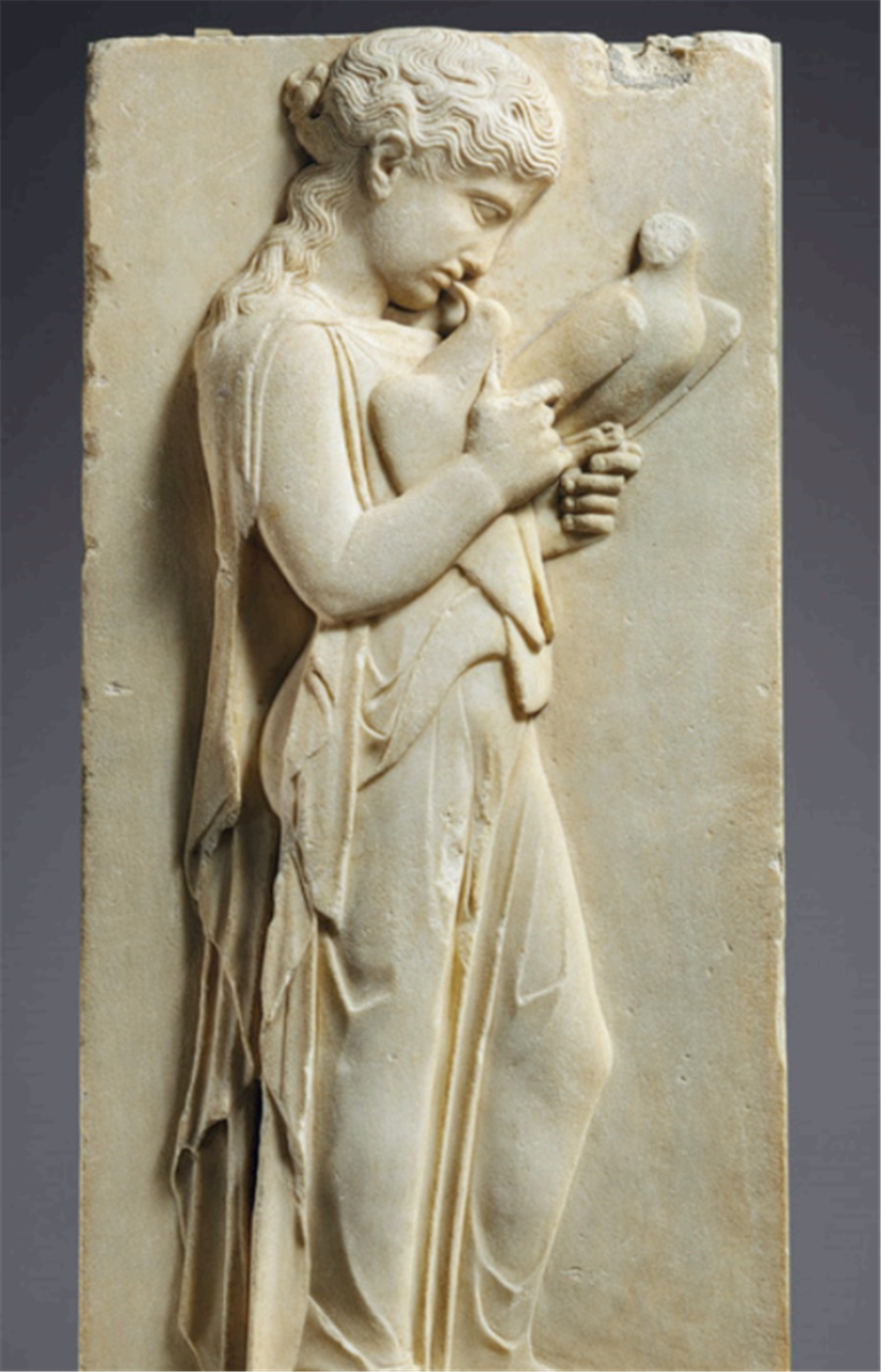 Παγκόσμια Ημέρα των Ζώων Παγκόσμια Ημέρα των Ζώων