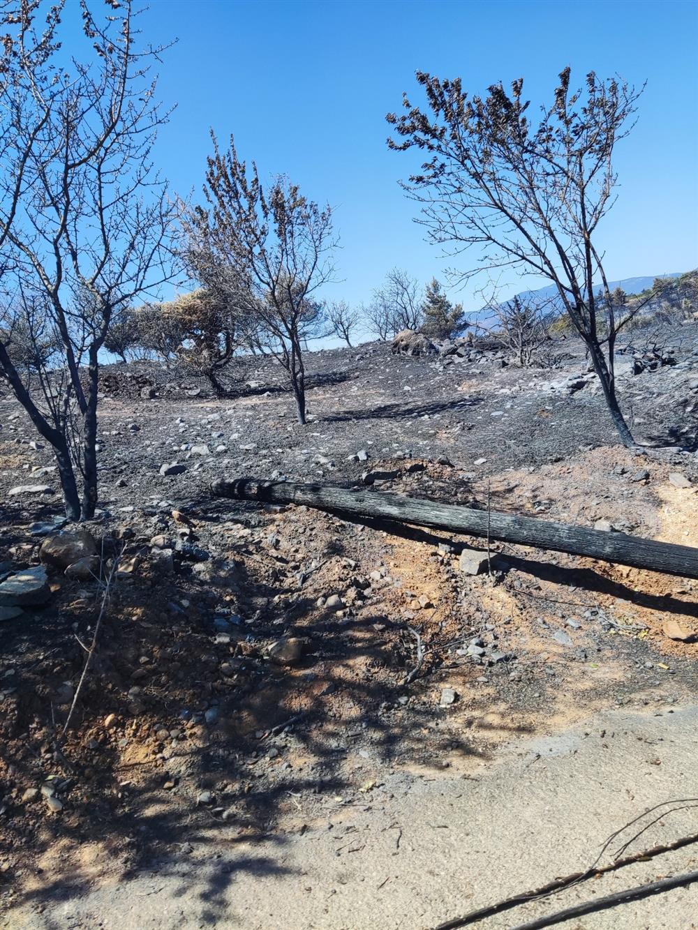 Φωτιά στην Αττική - ΑΜΚΕ ΙΑΣΙΣ Φωτιά στην Αττική - ΑΜΚΕ ΙΑΣΙΣ