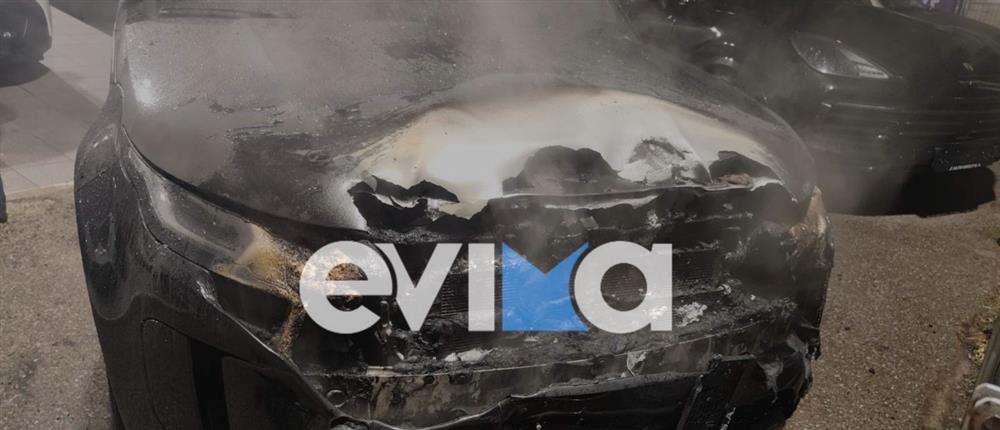 χαλκιδα - φωτια - ιχ