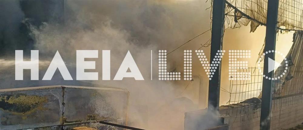 δυστύχημα - εργάτες γης - Ηλεία δυστύχημα - εργάτες γης - Ηλεία