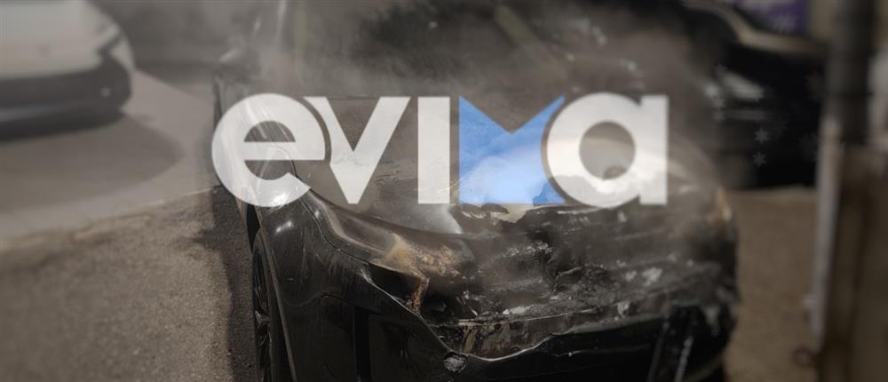 χαλκιδα - φωτια - ιχ