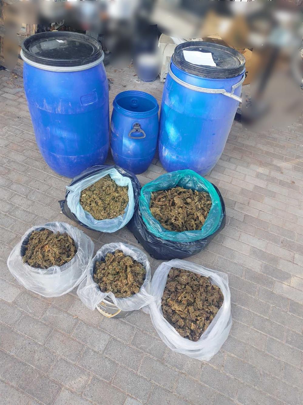 Ινδική κάνναβη - αποχέτευση - Κρήτη Ινδική κάνναβη - αποχέτευση - Κρήτη