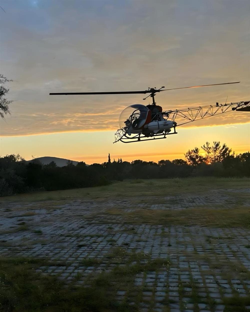 Χαρδαλιάς - Δήμος - Αττικής - Κουνούπια Χαρδαλιάς - Δήμος - Αττικής - Κουνούπια