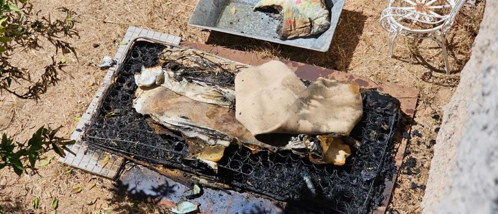 Λιόσια - Σορός - φωτιά Λιόσια - Σορός - φωτιά