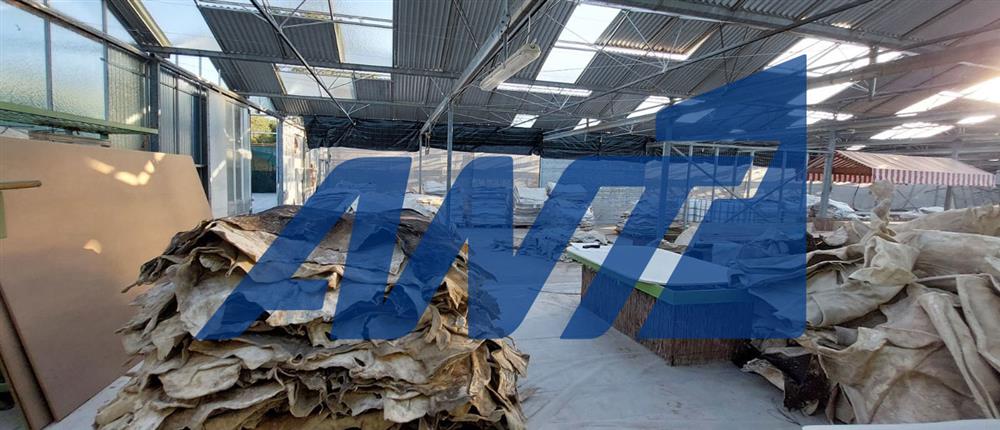 Σπάτα - Διακίνηση - Ναρκωτικά Σπάτα - Διακίνηση - Ναρκωτικά