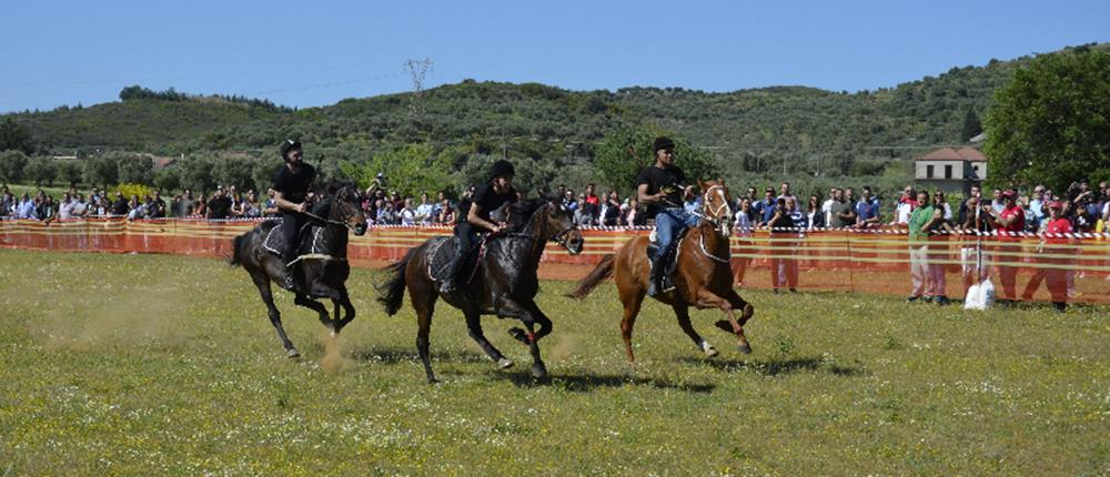 ιπποδρομίες - Άγιος Γεώργιος - Μεσολογγι ιπποδρομίες - Άγιος Γεώργιος - Μεσολογγι