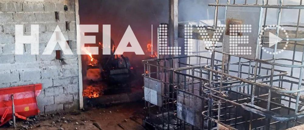 δυστύχημα - εργάτες γης - Ηλεία δυστύχημα - εργάτες γης - Ηλεία