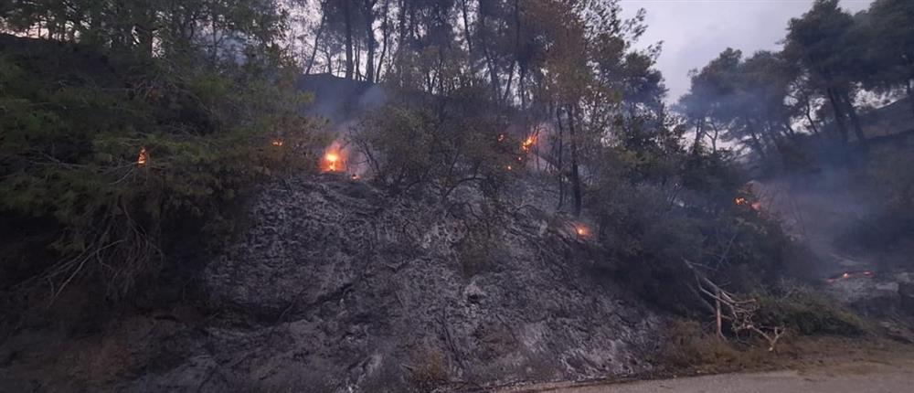 Φωτιά - Αμαλιάδα Φωτιά - Αμαλιάδα
