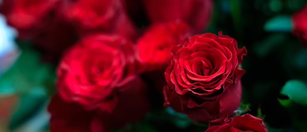 Εορτολόγιο: Ποιοι γιορτάζουν σήμερα 26 Ιανουαρίου