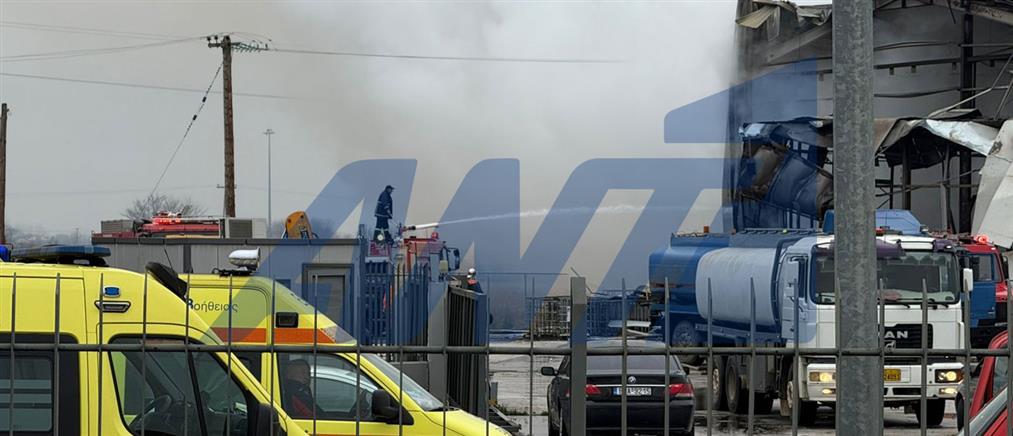 Τρίκαλα: Συνεχίζονται οι έρευνες για την τελευταία αγνοούμενη