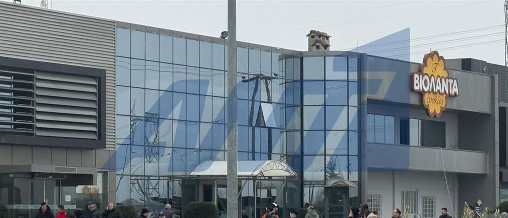 Βιολάντα: Από ένα συνοικιακό αρτοποιείο στα Τρίκαλα σε βιομηχανία που ταξίδεψε σε όλο τον κόσμο